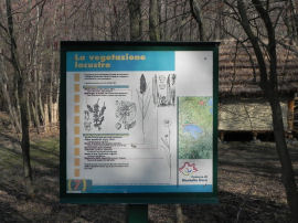 Cartello esplicativo sulla vegetazione lacustre al Lago Pistono (34711 bytes)